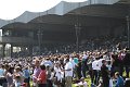 VGH_Renntag   027